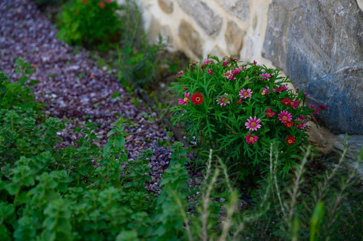 Kouses Physis Country House Near Matala Beach & Faistos מראה חיצוני תמונה